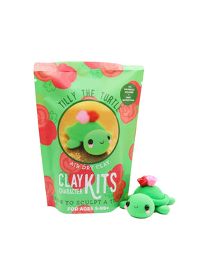 Turtle Air Dry Clay Kit - The Make Station - Painted Door on Main