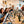 Book the Painted Door Creative Hub