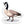 Vinyl Stickers - Hissing Mink - Painted Door on Main