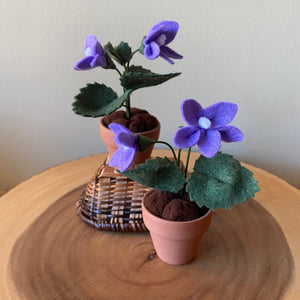 Violet Felt Forever Flower - ForgetBKnot - Painted Door on Main