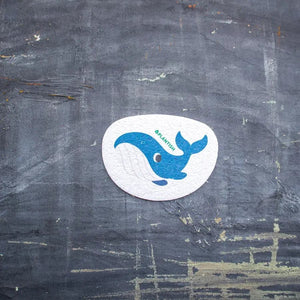 Wet and Wild Pop up Sponge Set - Painted Door on Main