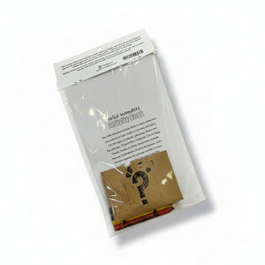 Wild Wonders Activity Book Series - Sweet Bean Art - Painted Door on Main