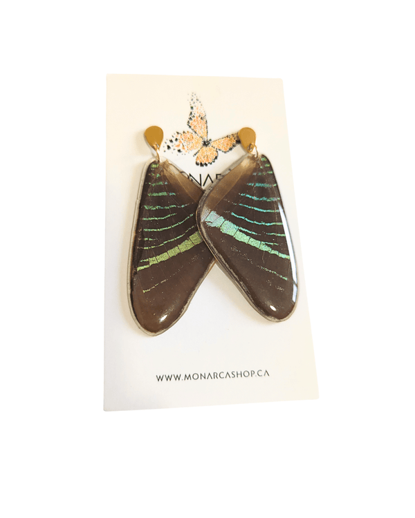 Wing Earrings - Monarca Jewelry & Decor - Painted Door on Main