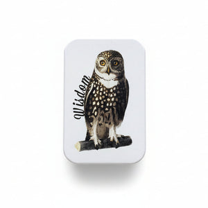 Wise Owl Notions Tin - Firefly Notes - Painted Door on Main