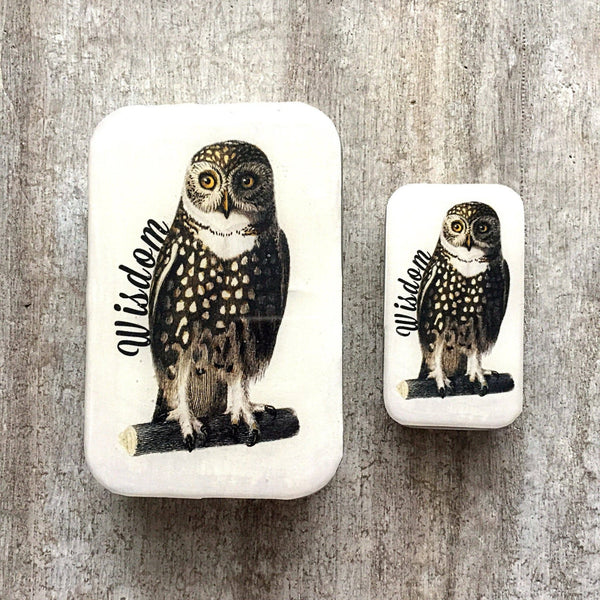 Wise Owl Notions Tin - Firefly Notes - Painted Door on Main