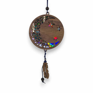 Wood & CD Suncatchers - Painted Door on Main