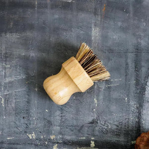 Zero Waste Kitchen Brush Starter Set - Painted Door on Main