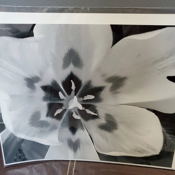 007 - 02 Prints 8x10" - Ealanta Photography - Painted Door on Main