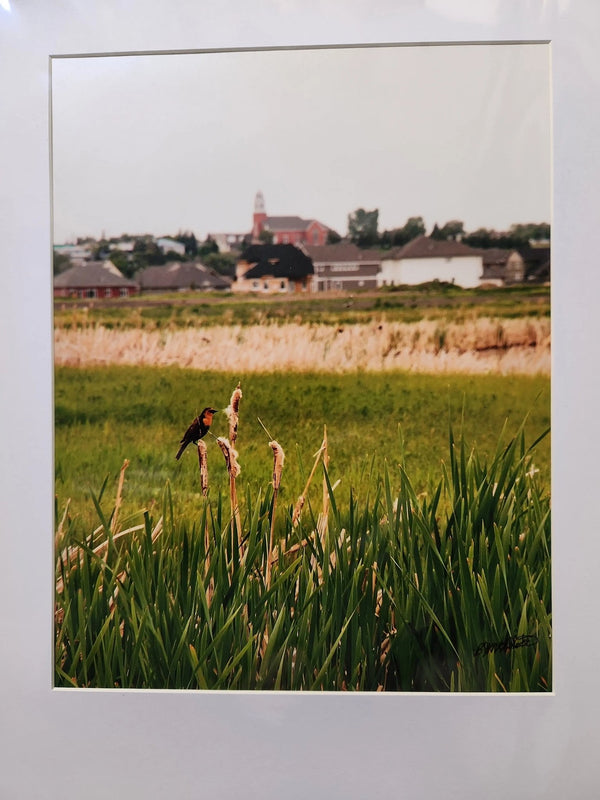 007 - 02 Prints 8x10" - Ealanta Photography - Painted Door on Main