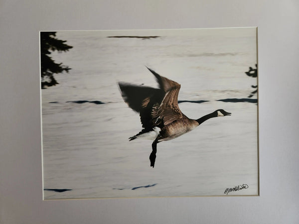 007 - 02 Prints 8x10" - Ealanta Photography - Painted Door on Main