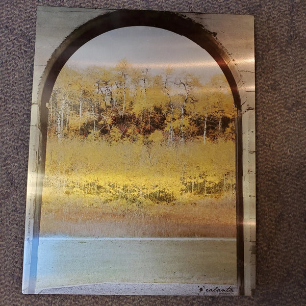007 - 10 Wall and Shelf Art - Ealanta Photography - Painted Door on Main