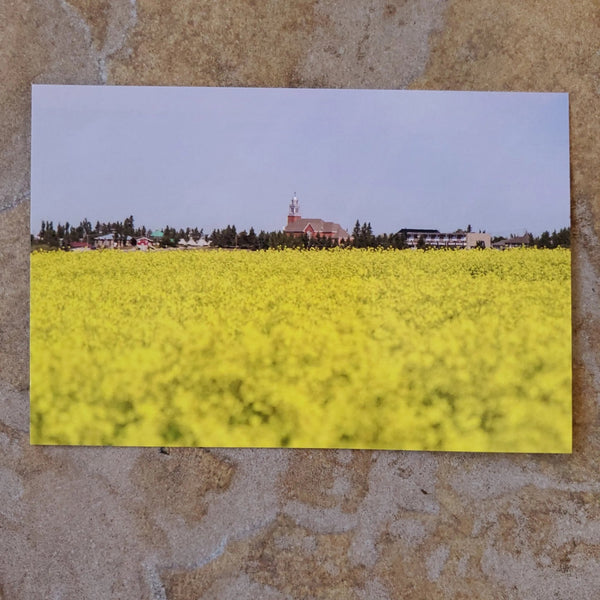 007 - 12 Postcards - Ealanta Photography - Painted Door on Main