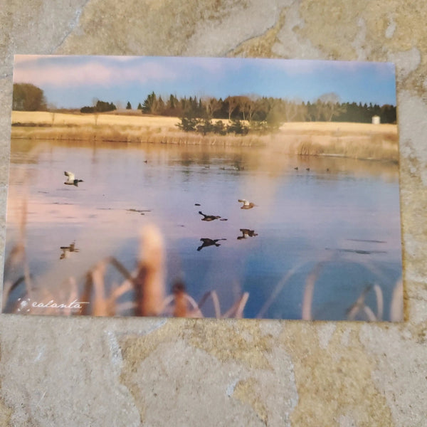 007 - 12 Postcards - Ealanta Photography - Painted Door on Main