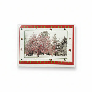 Greeting Cards - Ealanta Photography - Painted Door on Main