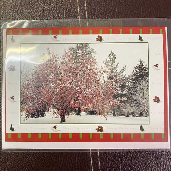 007 - 13 Greeting Cards - Ealanta Photography - Painted Door on Main