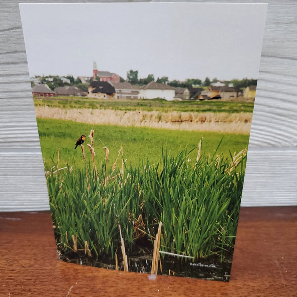 007 - 13 Greeting Cards - Ealanta Photography - Painted Door on Main