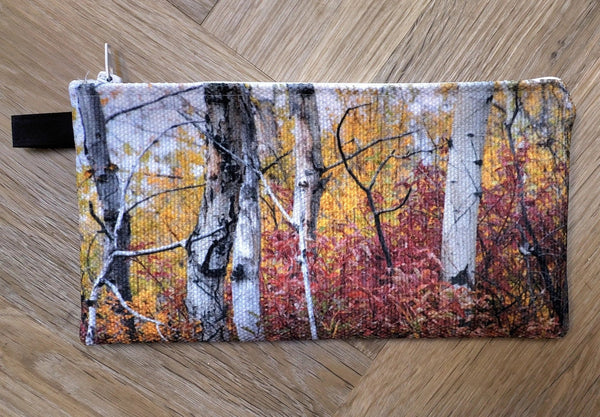 007 - 15 Pencil/Accessory Case - Ealanta Art Wear - Painted Door on Main