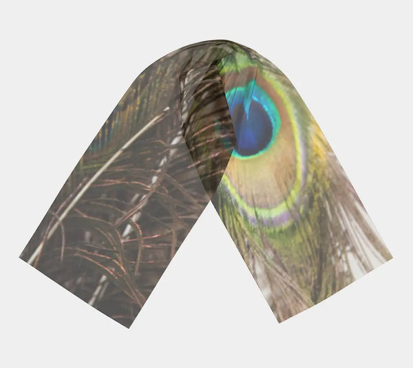 007 - 23 Long Scarves - Ealanta Art Wear - Painted Door on Main