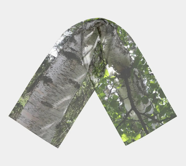 007 - 23 Long Scarves - Ealanta Art Wear - Painted Door on Main