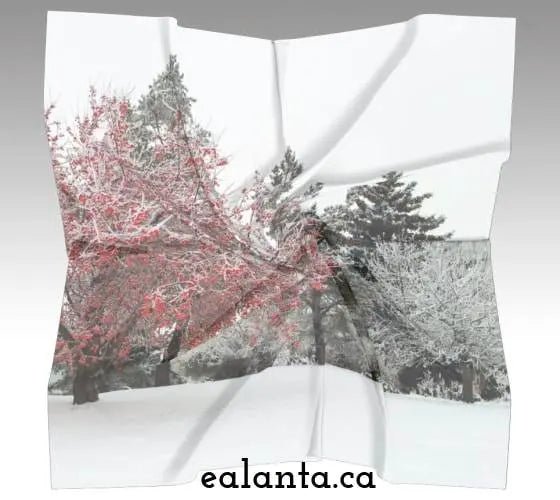 007 - 24 Square Scarves - Ealanta Art Wear - Painted Door on Main