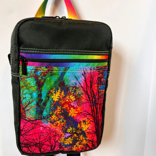 042 - 32 Excursion Sling Bag - Sheila's Satchels - Painted Door on Main