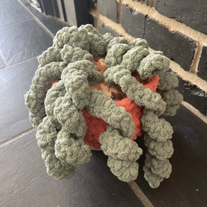 096 - 03 Plushy Plants - Willing Hands Crochet - Painted Door on Main