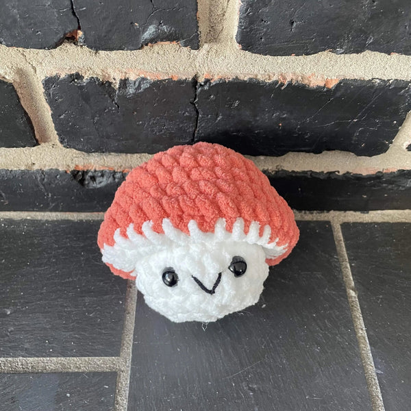 096 - 10 Pop Up Mushrooms - Willing Hands Crochet - Painted Door on Main