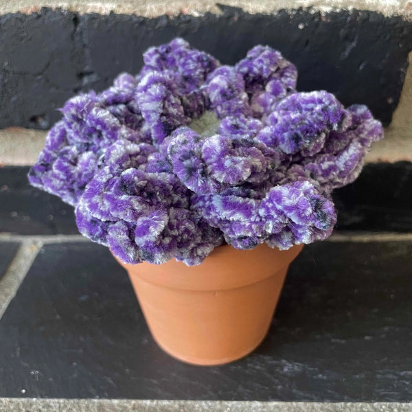 096 - 41 Potted Succulents - Willing Hands Crochet - Painted Door on Main