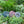 Load image into Gallery viewer, 040-07 Wire Garden Snails - We-Met Wire Work
