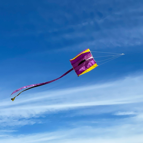 840-04 Pocket Kite - Wild Life Outdoor Adventures