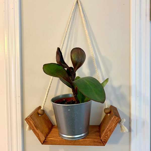 820 - 04 Hammock Shelf - Larcher Woods & Crafts - Painted Door on Main