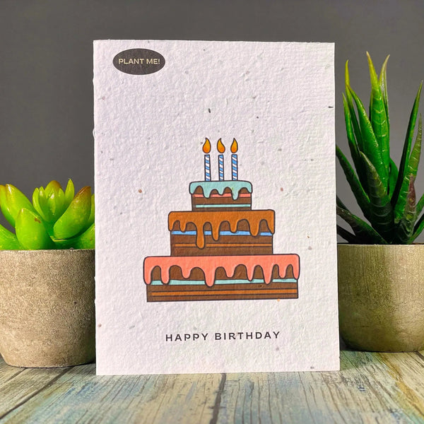 821 - 03 Birthday Cards - Plantable Greetings - Painted Door on Main