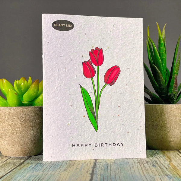 821 - 03 Birthday Cards - Plantable Greetings - Painted Door on Main