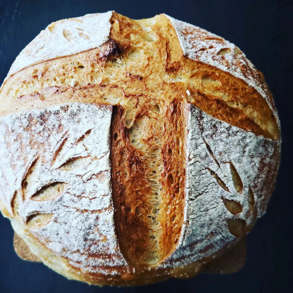 822 - 01 Sourdough Starter - Summit Sourdough - Painted Door on Main