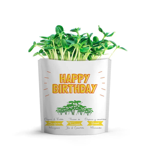825 - 01 Happy Birthday Card - Gift a Green - Painted Door on Main
