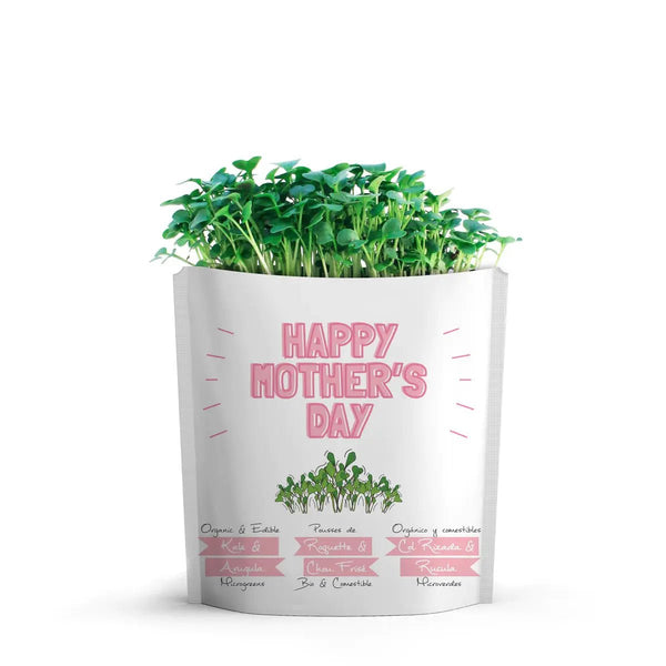 825 - 03 Happy Mother's Day Card - Gift a Green - Painted Door on Main