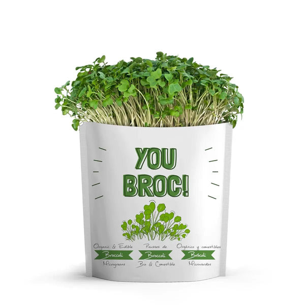 825 - 05 You Broc Card - Gift a Green - Painted Door on Main
