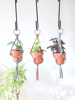 844 - 03 Mini Macrame Plant Hanger - Caught In a Knot Co. - Painted Door on Main