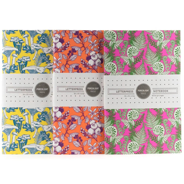 845 - 02 Pocket Notebooks (3 Pack) - Porchlight Press - Painted Door on Main