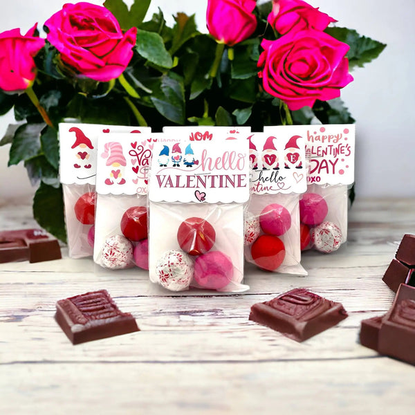 859 - 01 Seed Bombs - Fuschia Designs Shop - Painted Door on Main