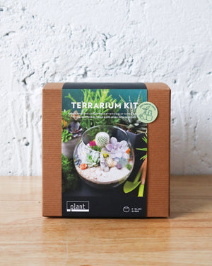 862 - 02 Terrarium Kits - Plant Shop - Painted Door on Main