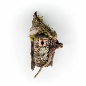 Birch Bark Birdhouses - Leslie's Birdhouses - Painted Door on Main