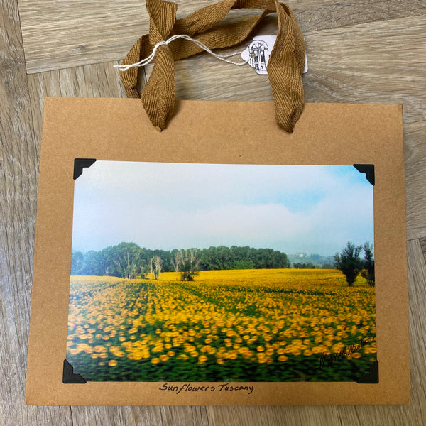 007-01 Photography Gift Bags - Ealanta Photography - Painted Door on Main