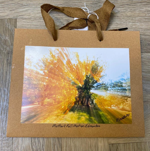 007-01 Photography Gift Bags - Ealanta Photography - Painted Door on Main