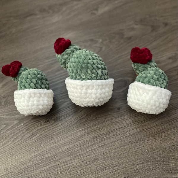 096-03 Plants - Willing Hands Crochet