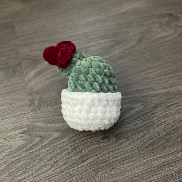 096-03 Plants - Willing Hands Crochet