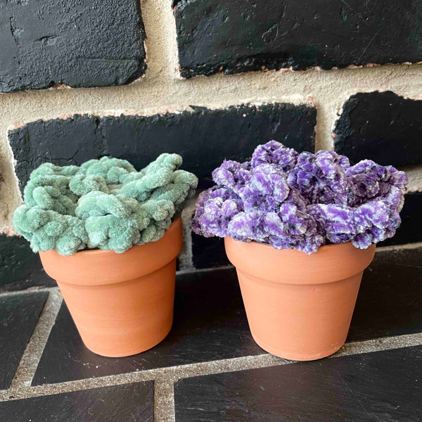 096-41 Potted Plushy Succulents - Willing Hands Crochet