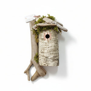 Birch Bark Birdhouses - Leslie's Birdhouses - Painted Door on Main