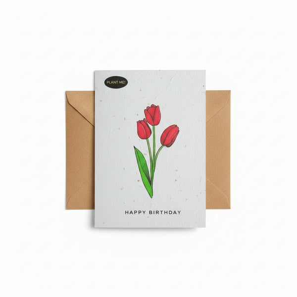 Birthday Cards - Plantable Greetings - Painted Door on Main