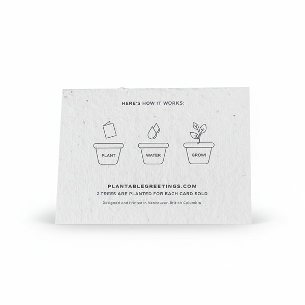 Birthday Cards - Plantable Greetings - Painted Door on Main